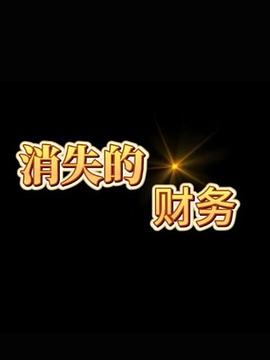 消失的财务第19集